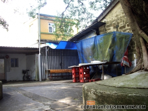 IMGP2997.JPG