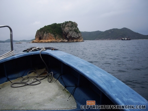 IMGP2943.JPG