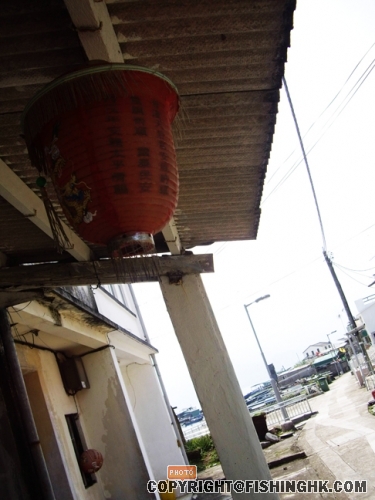IMGP3005.JPG
