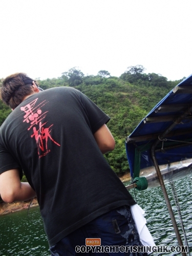 IMGP2951.JPG