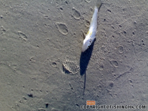 20080524287.jpg