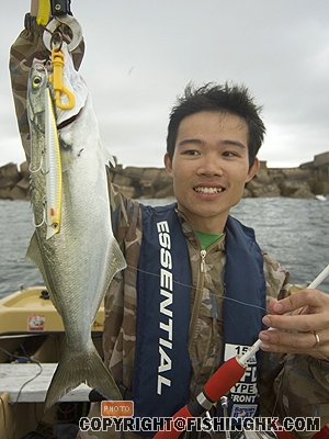AREA 16 AYU