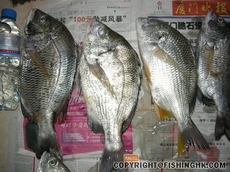调整大小 DSCN1753.jpg