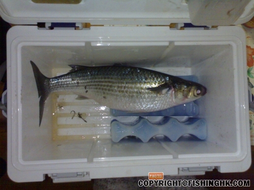 200806011542.jpg