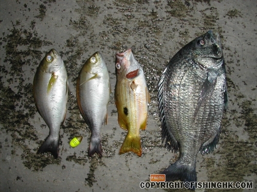 DSCN2265.JPG