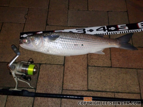 20080604406.jpg
