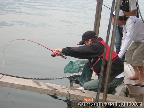 DSCN4461.JPG