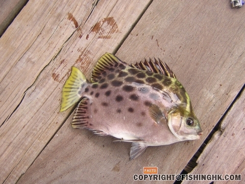 DSCN4463.JPG