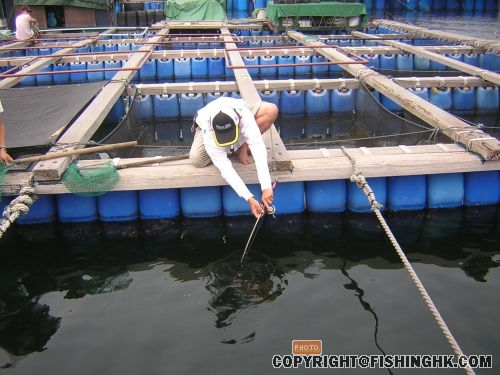 DSCN4475.JPG