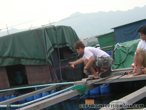 DSCN4488.JPG