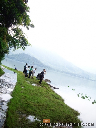 IMGP3084.JPG