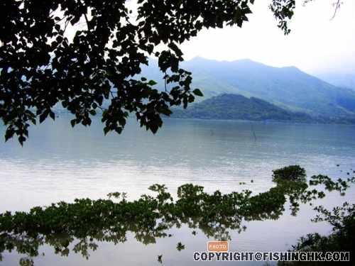 IMGP3080.JPG