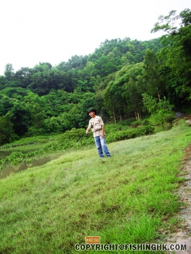 IMGP3093.JPG