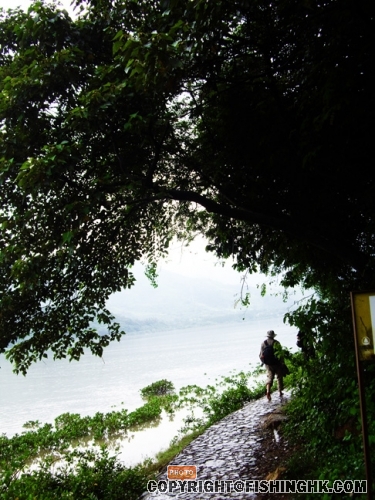 IMGP3077.JPG