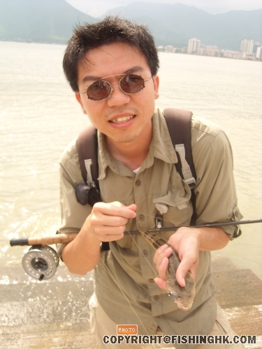 SL270733.JPG