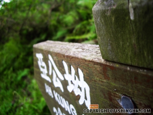IMGP3137.JPG