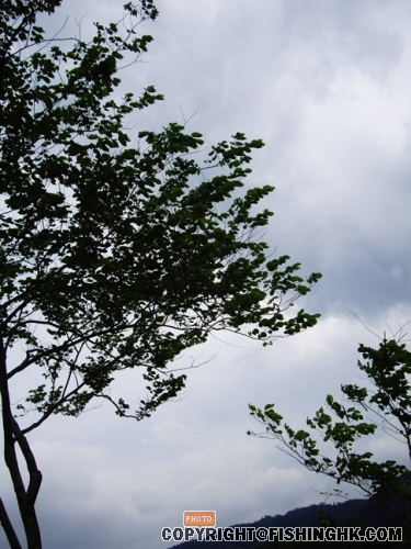IMGP3165.JPG