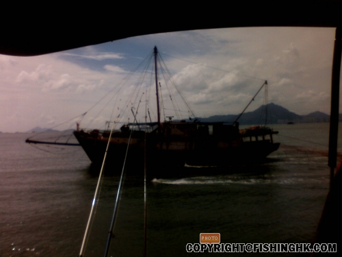 IMG0108A.jpg