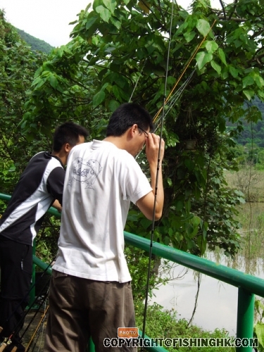 IMGP3158.JPG
