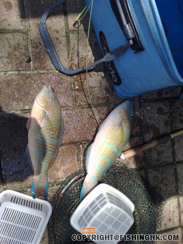20080609423.jpg