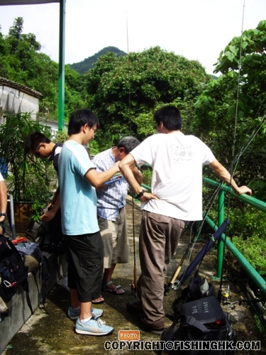 IMGP3161.JPG
