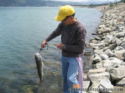 IMG_6926.JPG