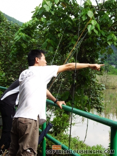 IMGP3159.JPG