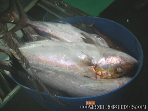 SANY0050.JPG
