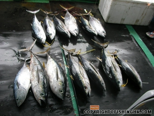 SANY0058.JPG