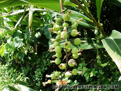 SANY0036.JPG