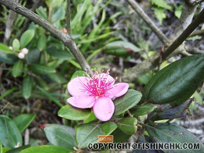 SANY0015.JPG