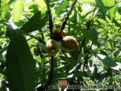 SANY0033.JPG