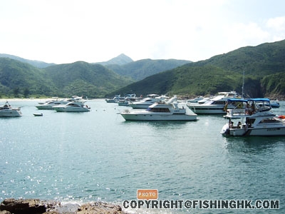 SANY0074.JPG