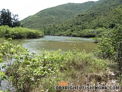 SANY0030.JPG