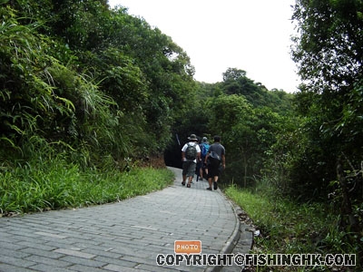 SANY0019.JPG