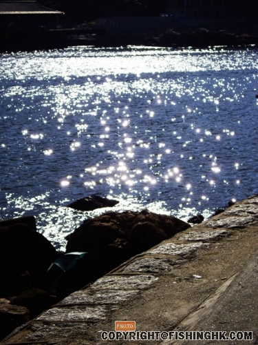 IMGP3230.JPG