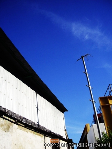 IMGP3248.JPG