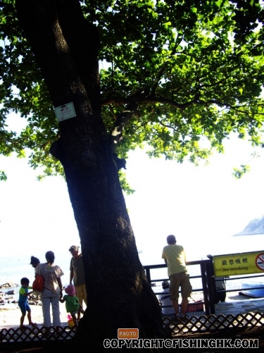 IMGP3243.JPG