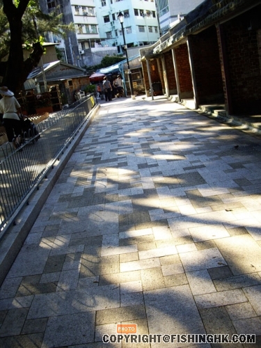 IMGP3242.JPG