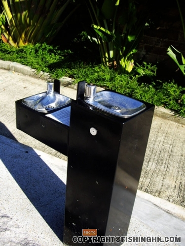 IMGP3232.JPG
