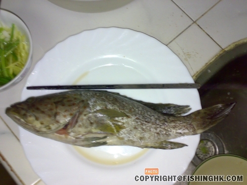 20080622327.jpg