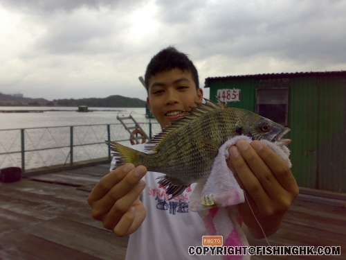 20080629331.jpg