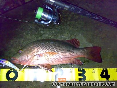 20080713994s.JPG