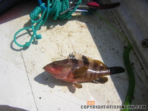 DSCN4636.JPG