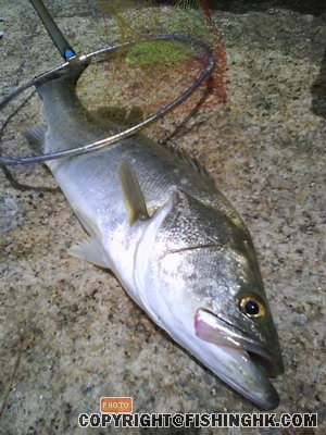 Fishing.JPG