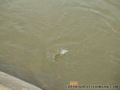 DSCF3040.JPG