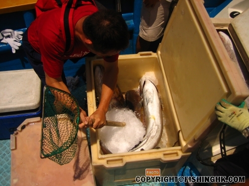 照片24-08 010.jpg