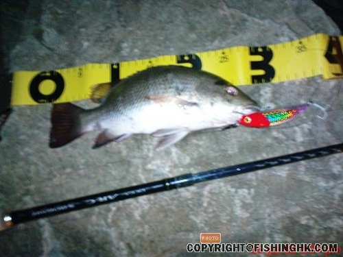不足30CM,放.