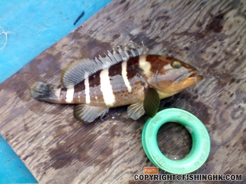 26-7-08白沙灣扒艇仔 004.jpg