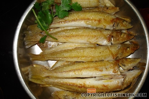 DSC02314.JPG